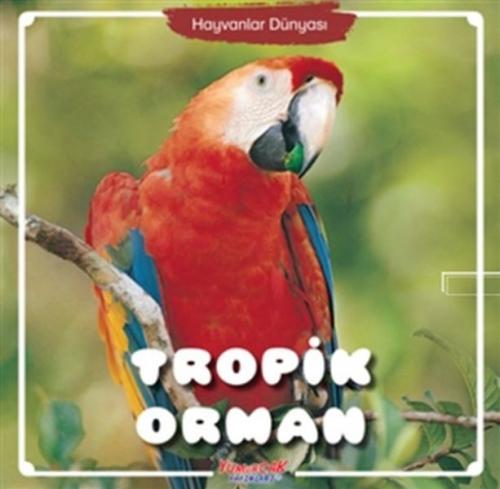 Kurye Kitabevi - Tropik Orman - Hayvanlar Dünyası