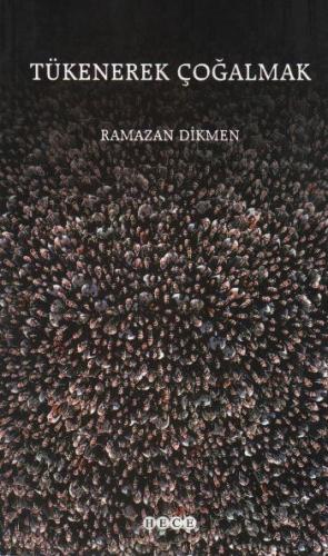 Tükenerek Çoğalmak - Münzevi Kitabevi