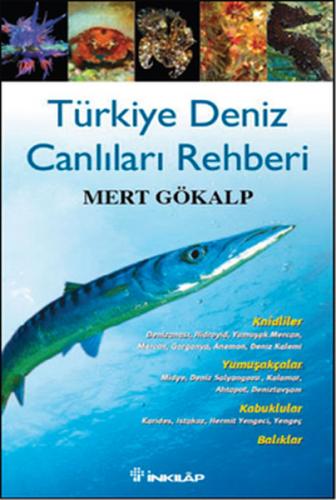 Türkiye Deniz Canlıları Rehberi - Münzevi Kitabevi