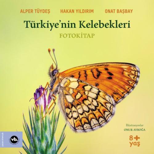 Kurye Kitabevi - Türkiye’nin Kelebekleri