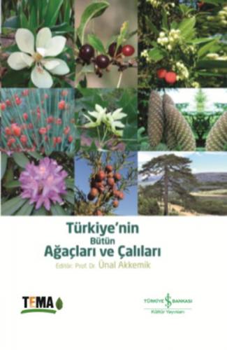 Kurye Kitabevi - Türkiyenin Bütün Ağaçları ve Çalıları