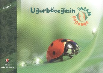 Uğurböceğinin Yaşam Döngüsü - Münzevi Kitabevi