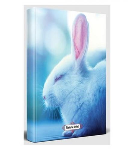 Kurye Kitabevi - Uykucu Tavşan - Planlama Defteri