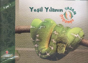 Yeşil Yılanın Yaşam Döngüsü - Münzevi Kitabevi