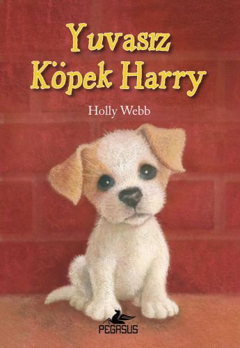 Kurye Kitabevi - Yuvasız Köpek Harry